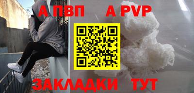 гашик Кингисепп