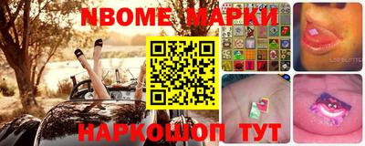 гашик Кингисепп