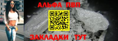 гашик Кингисепп