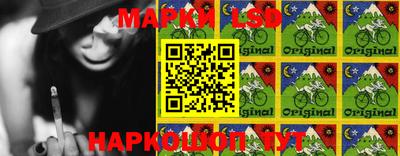 гашик Кингисепп