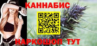 гашик Кингисепп