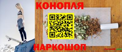гашик Кингисепп