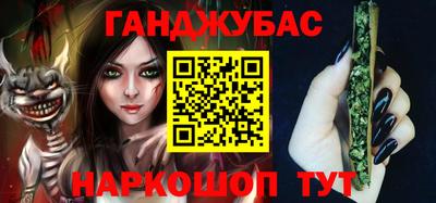 гашик Кингисепп