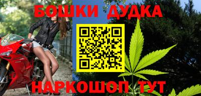гашик Кингисепп