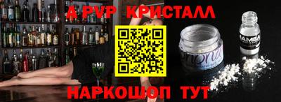 гашик Кингисепп