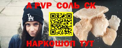 гашик Кингисепп