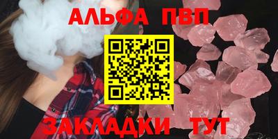 гашик Кингисепп