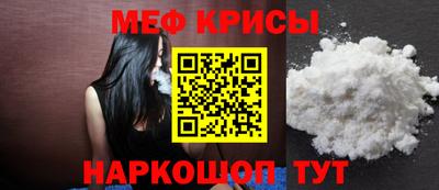 гашик Кингисепп